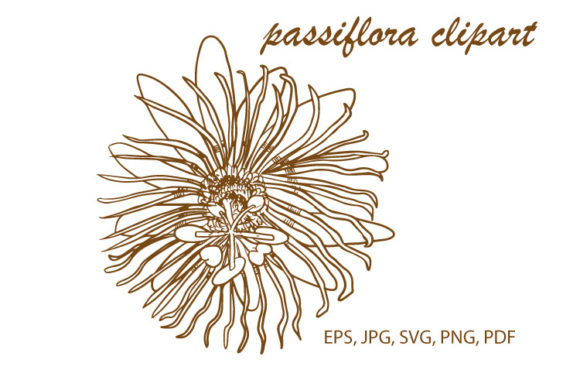 Passiflora Clipart, Vector, Flower Svg