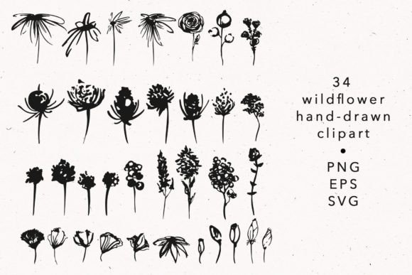 Wildflower Botanical SVG Clipart, Leaves